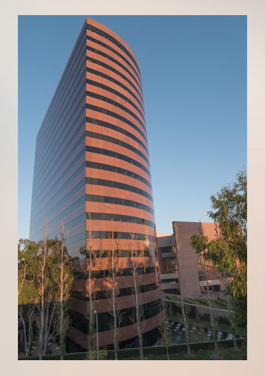 alternative-investment-company