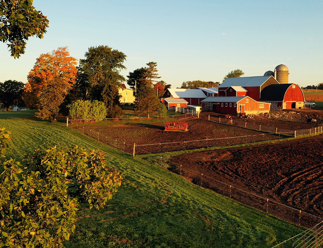 1031 Like-Kind Exchanges for Wisconsin Farmers