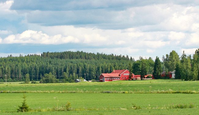 Wisconsin Farm 1031 Exchange