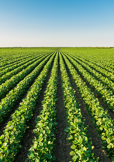 Wisconsin Farm and Ranch Exchanges