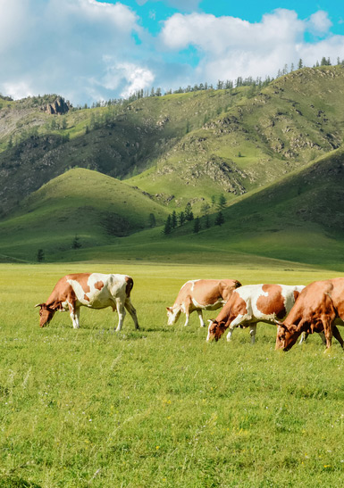 Pennsylvania Farm and Ranch Exchanges